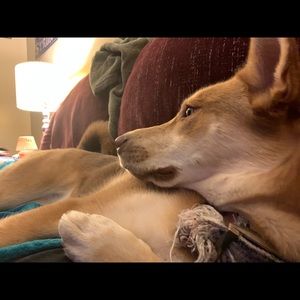 Meet your Posher, Alyssa